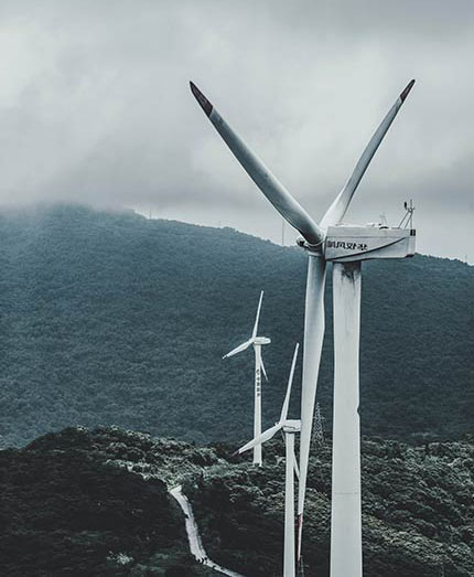 CÔNG TY CỔ PHẦN TẬP ĐOÀN ĐẦU TƯ THÁI HÒA